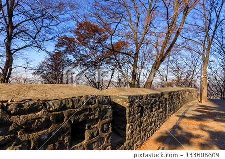 韓國首爾南山公園的秋季紅葉景色 133606609