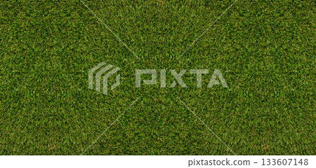 Continuous carpet of green grass blades is covering flat area in flat design, showing even texture 133607148