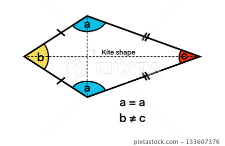 educational diagram of a kite-shaped quadrilateral showing equal side pairs, labeled angles, and symmetry lines, used to teach geometric properties where angle b differs from angle c educational diagram of a kite-shaped quadrilateral showing equal side pairs, labeled angles, and symmetry lines, used to teach geometric properties where angle b differs from angle c 133607376