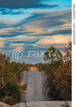 Tranquil Dirt Road Leading Into Scenic Horizon Tranquil Dirt Road Leading Into Scenic Horizon 133607402