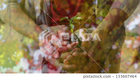 Cupping mother and son hands holding soil with small green seedling sprout in garden Cupping mother and son hands holding soil with small green seedling sprout in garden 133607464