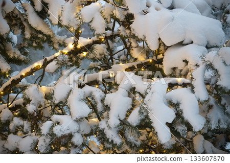 Snow-covered pine tree branches with warm fairy lights during winter Snow-covered pine tree branches with warm fairy lights during winter 133607870
