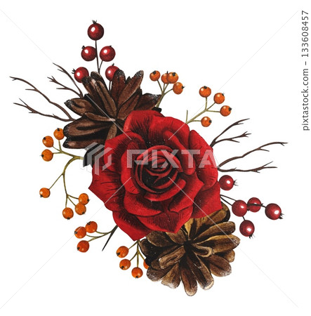 Hand drawn Christmas bouquet with red rose, fir cones and red berries. Watercolor illustration. 133608457