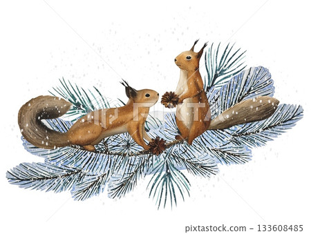 Hand drawn winter scene with squirrels on snow covered pine branches. Watercolor illustration. Hand drawn winter scene with squirrels on snow covered pine branches. Watercolor illustration. 133608485