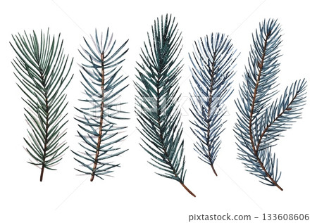 Hand painted spruce branches. Watercolor illustration. Hand painted spruce branches. Watercolor illustration. 133608606