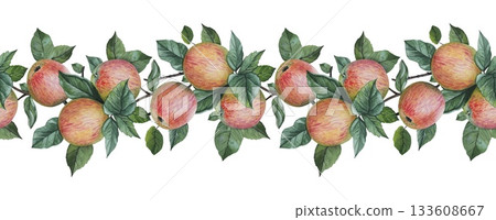 Seamless border with ripe apples and leaves. Watercolor illustration. Seamless border with ripe apples and leaves. Watercolor illustration. 133608667