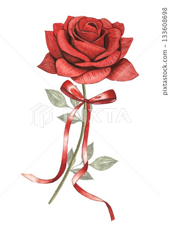 Red rose with red ribbon. Hand drawn watercolor illustration. Red rose with red ribbon. Hand drawn watercolor illustration. 133608698