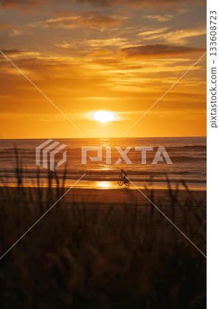 Silhouette of cyclist riding on beach at golden sunset near Totara River, NZ Silhouette of cyclist riding on beach at golden sunset near Totara River, NZ 133608723