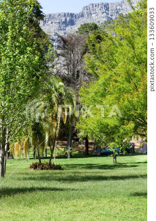 Trees at park against mountains Trees at park against mountains 133609033