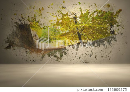 Splash on wall revealing forest trail 133609275