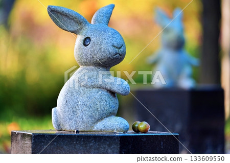 Cute rabbit statue at Izumo Taisha Shrine 133609550