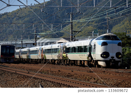 287 series Kuroshio express train No. 8 (out of service) running on the Tokaido Line 133609672