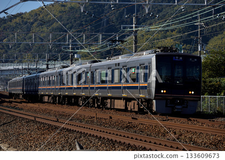 七列207系地方列車正在東海道線上運行。 七列207系地方列車正在東海道線上運行。 133609673