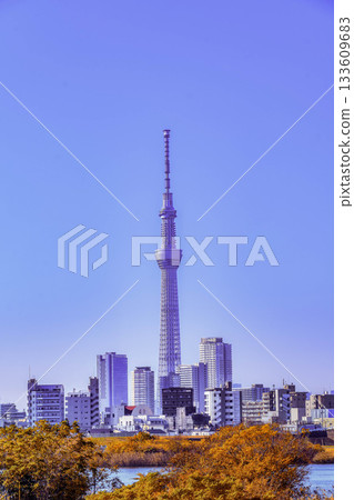 晴空塔在秋日藍天的襯托下熠熠生輝 晴空塔在秋日藍天的襯托下熠熠生輝 133609683