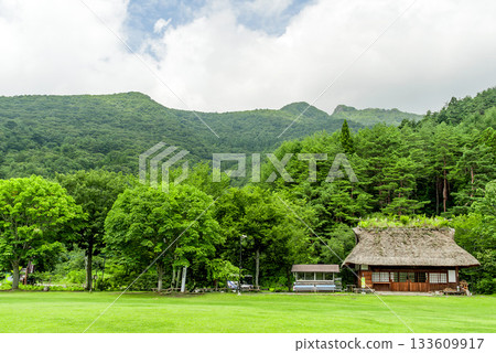 Green spaces and mountains: Thatched roof houses at Lake Saiko Wild Bird Forest Park (Yamanashi) 133609917