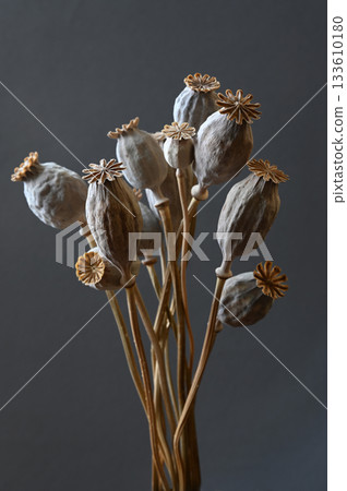 A beautifully arranged bouquet of dried poppy seed pods stands against a dark, muted background A beautifully arranged bouquet of dried poppy seed pods stands against a dark, muted background 133610180
