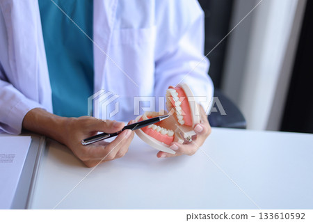 Dentist uses a dental model to explain oral health and treatments to a patient. 133610592