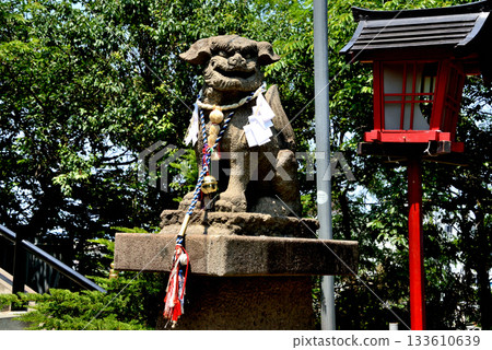 在一年一度的祭典當天，狛犬出現在豐足神社。 133610639