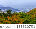 山梨縣山區的秋葉與雲海。 133610751