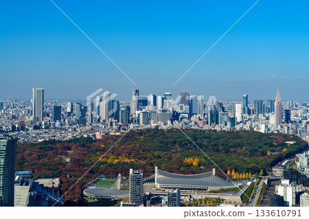 東京、明治神宮和新宿地區城市景觀 東京、明治神宮和新宿地區城市景觀 133610791