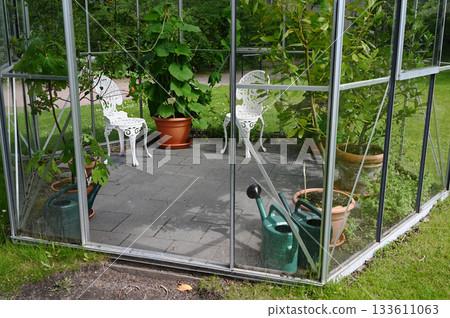 inviting greenhouse interior features lush green potted plants 133611063