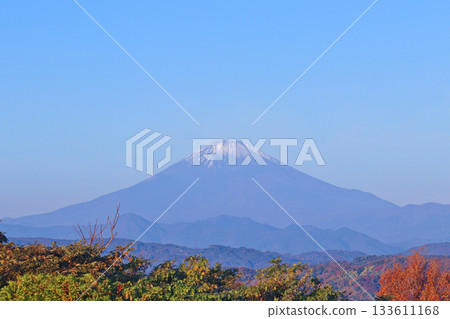Autumn leaves, Mount Fuji with its first snow, and blue sky 133611168