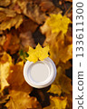 Top view of white cup lid with maple leaf of eco zero waste paper cup take away with hot drink, coffee, tea on fallen colourful leaves on backdrop, mockup. Seasonal warm drinks to go in cold weather 133611300
