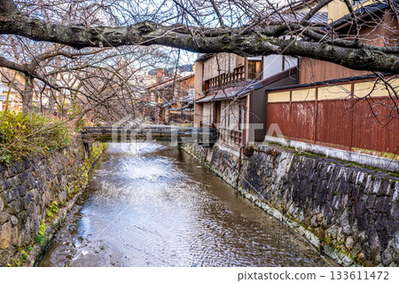 [Important Preservation District for Groups of Traditional Buildings] Gion-Shinbashi, Winter Streetscape and Shirakawa River Scenery 2, Higashiyama Ward, Kyoto City, Kyoto Prefecture 133611472