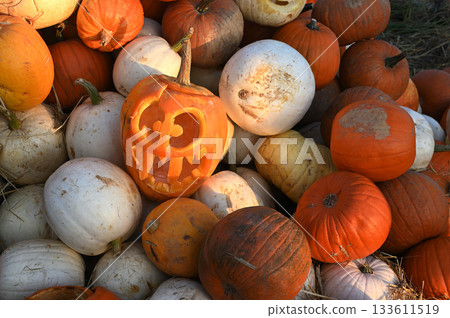 a pile of pumpkins in various shades of orange and white, with one prominently carved jack-o-lantern featuring a spooky, smiling face a pile of pumpkins in various shades of orange and white, with one prominently carved jack-o-lantern featuring a spooky, smiling face 133611519