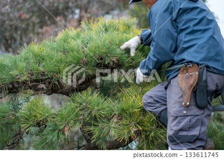 修剪 園丁 男人 133611745