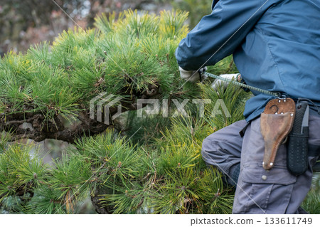 修剪 園丁 男人 133611749