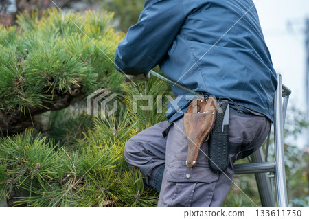 pruning, gardener, landscaper 133611750