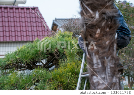 pruning, gardener, landscaper 133611758