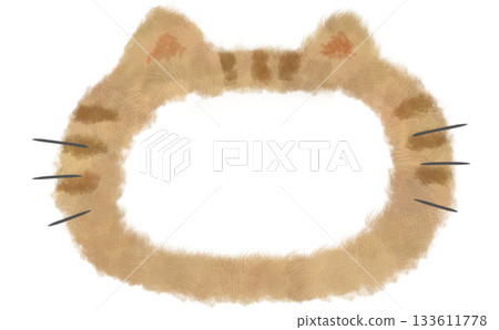 手繪的虎斑貓蓬鬆邊框素材 133611778
