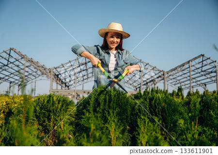 Process of cutting the bush with using scissors. Young redhead woman is taking care of garden Process of cutting the bush with using scissors. Young redhead woman is taking care of garden 133611901