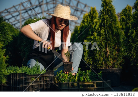 Transplants the plant, uses a knife. Young redhead woman is taking care of garden Transplants the plant, uses a knife. Young redhead woman is taking care of garden 133611938