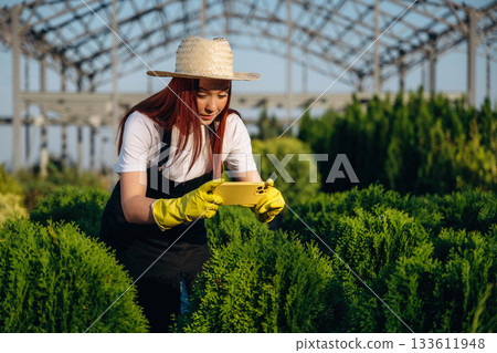 Professional worker. Young redhead woman is taking care of garden Professional worker. Young redhead woman is taking care of garden 133611948
