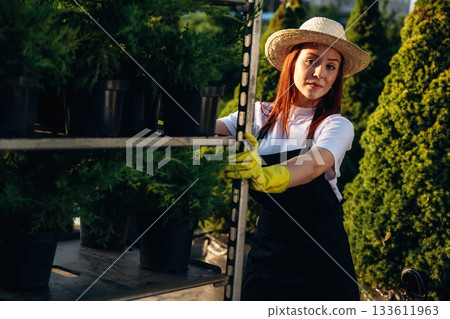 Moving the shelves with plants in the pots. Young redhead woman is taking care of garden Moving the shelves with plants in the pots. Young redhead woman is taking care of garden 133611963