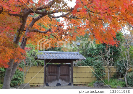 關宿城日式庭園的正門被秋葉掩映。 133611988