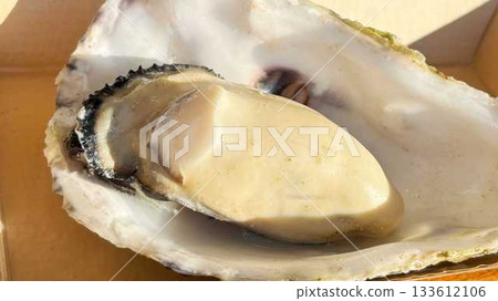 Steamed oysters (in shell) Steamed oysters (in shell) 133612106
