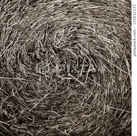 Roll of dry straw for livestock 133612133