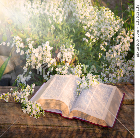 Big book on the brnch Big book on the brnch 133612138