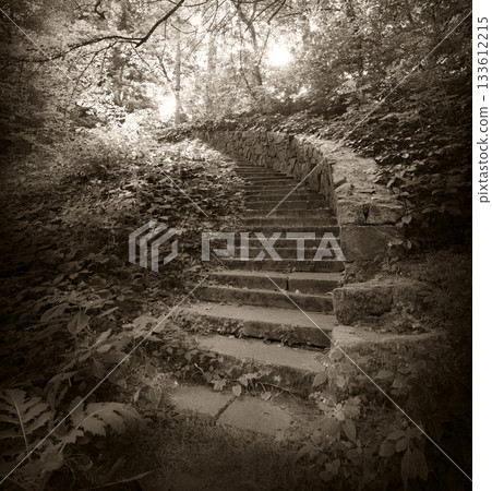 Old stone stairs in the park Old stone stairs in the park 133612215
