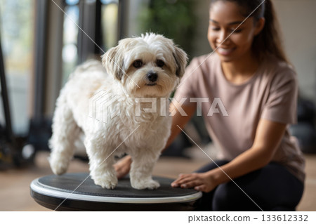 A senior dog stands carefully on a balance disc while a young woman provides gentle support, promoting fitness and mobility in a warm, rehabilitation atmosphere 133612332