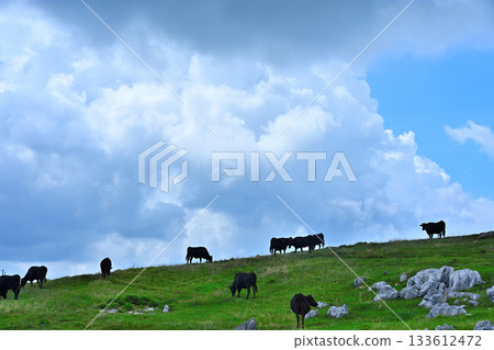 Shikoku karst 133612472