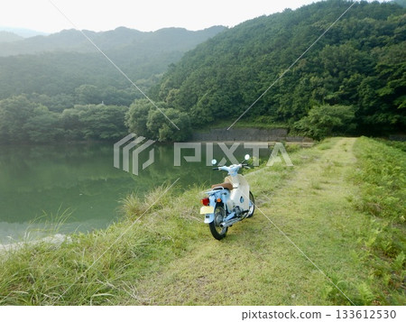 Where to go with Little Cub Where to go with Little Cub 133612530