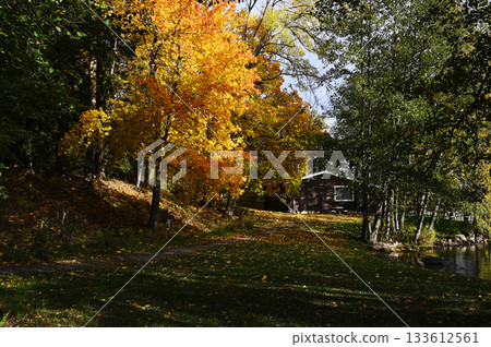 A serene autumn scene featuring vibrant yellow and orange trees surrounding a wooden cabin near a calm lake 133612561