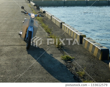 Where to go with Little Cub 133612579