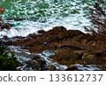 View of sea waves crashing against the rocks on the shore. 133612737