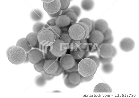 Image of multiplying cocci Image of multiplying cocci 133612756